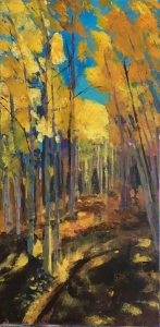 Kebler Pass I