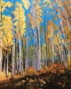 Kebler Pass II