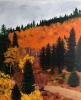 Cottonwood Pass