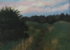 Beach Path Study