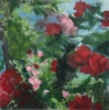 Tea House Roses